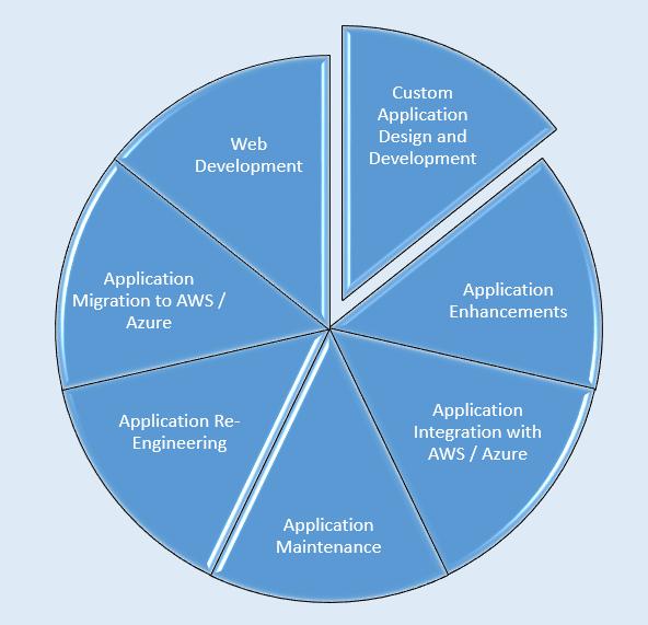 Custom Application Development and Integration